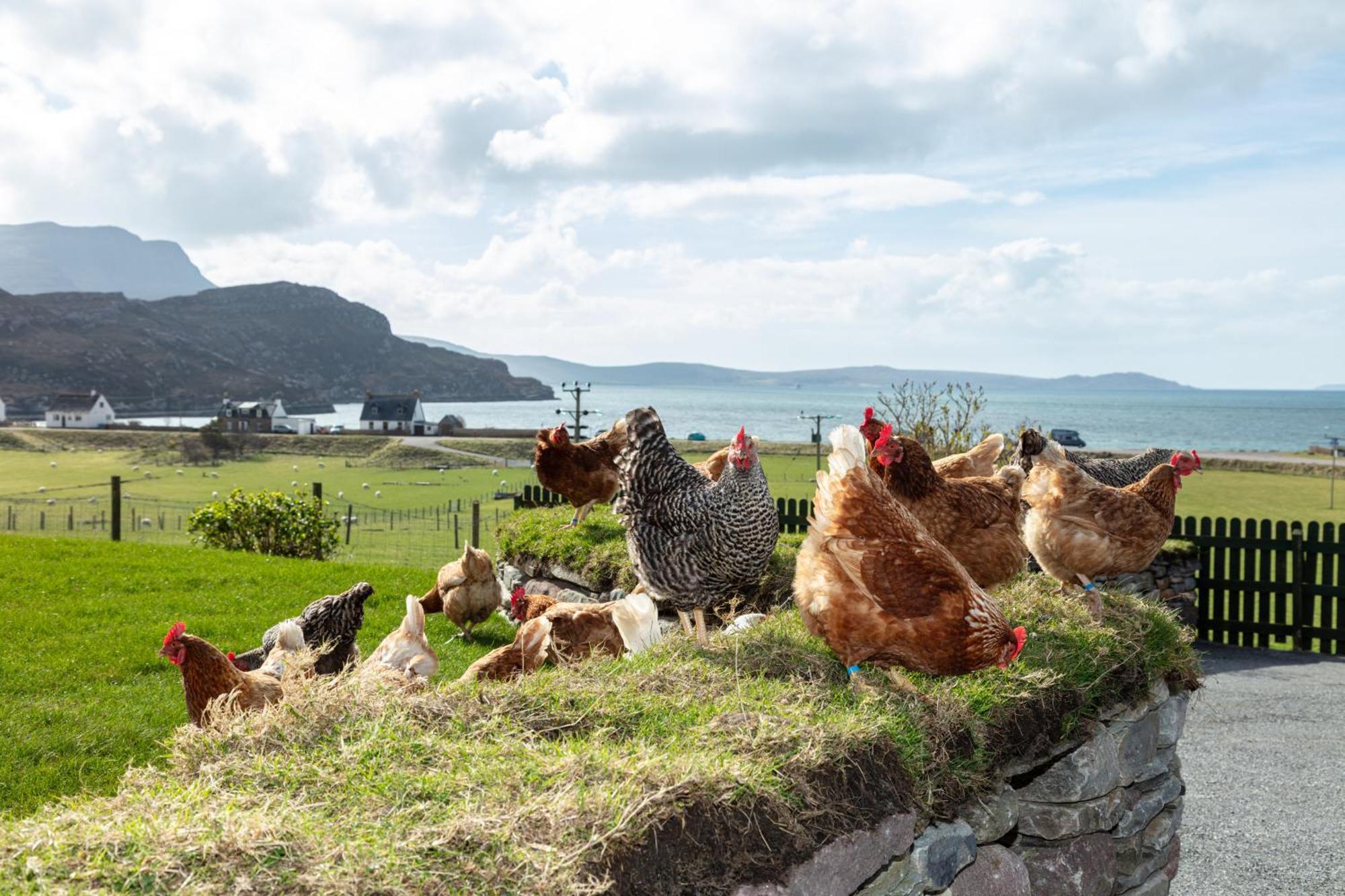Croft Cottage Ullapool Ngoại thất bức ảnh